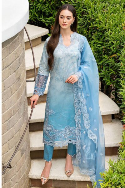 Fancy Party Wear